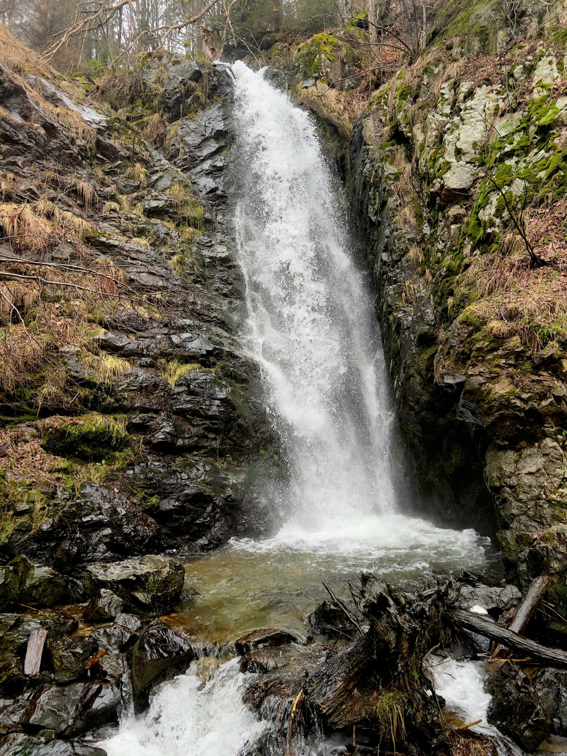 El Trapiche: Un Oasis de Arroyos y Naturaleza en San Luis